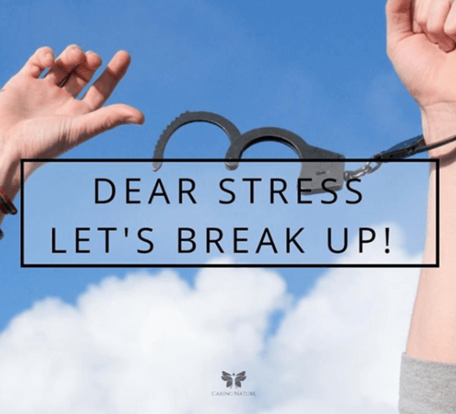 Corporate Stress Management Workshop: A Relationship Beyond Paycheck